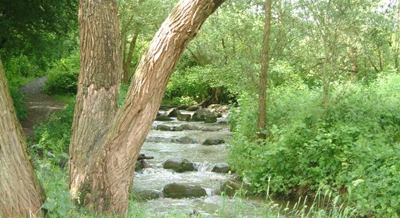 Nette River Trail