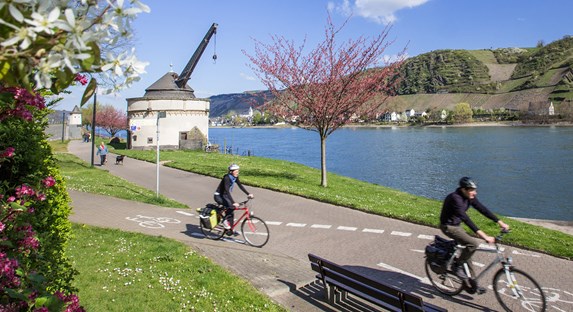 Radwandern am Rhein